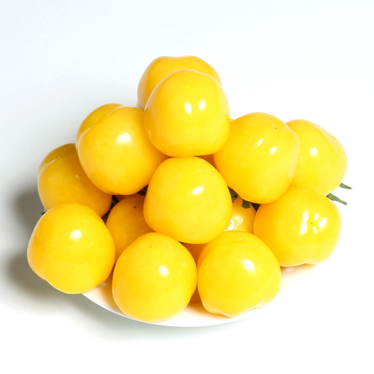 ミニトマト　CFプチぷよ シリーズ 松島交配