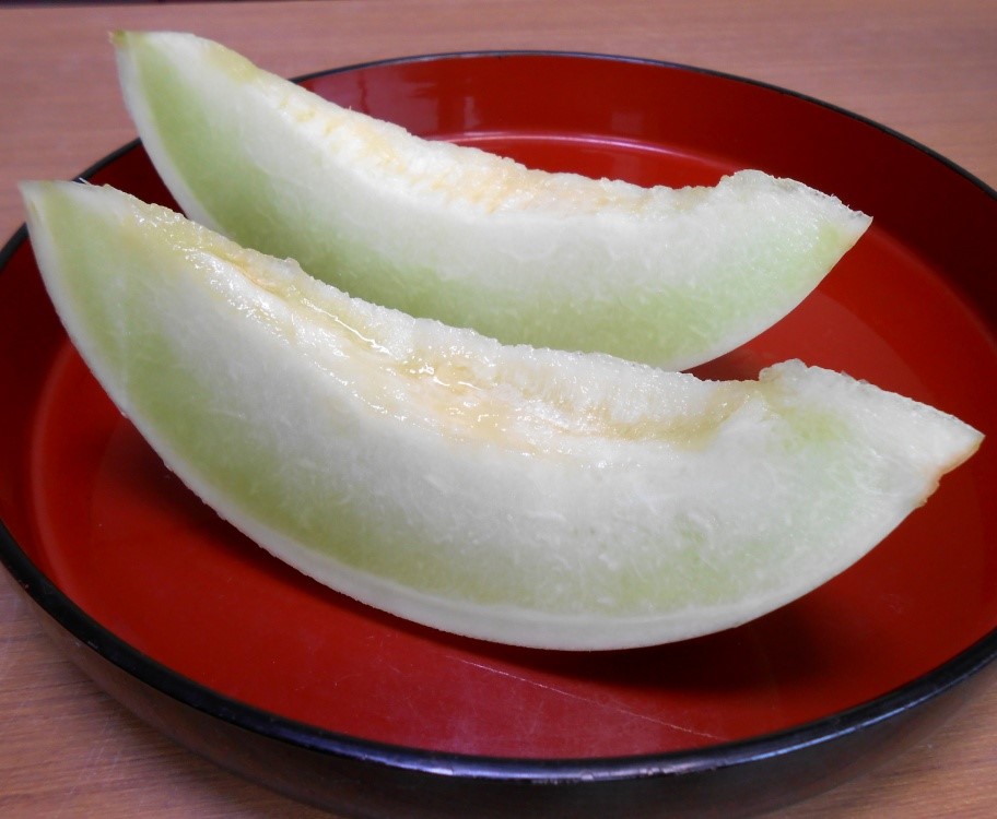 メロン　おてがるロジたん 