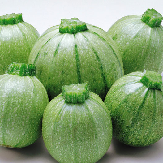 ズッキーニ　ミニ丸 シリーズ 