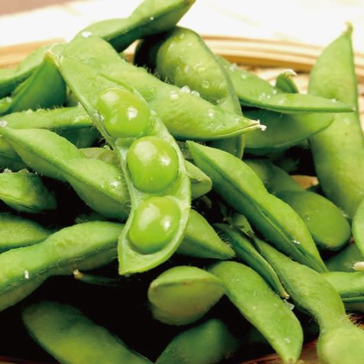 エダマメ　あまおとめ 黒太郎、茶太郎 