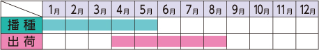 ラベルイメージ