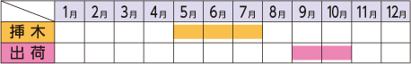 ラベルイメージ
