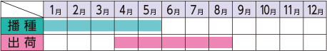 ラベルイメージ