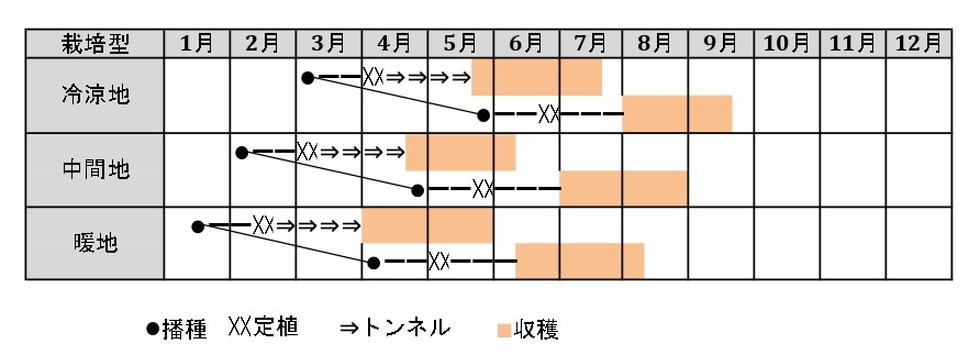 ラベルイメージ
